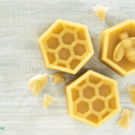 Creative Beeswax Uses For Home and Body