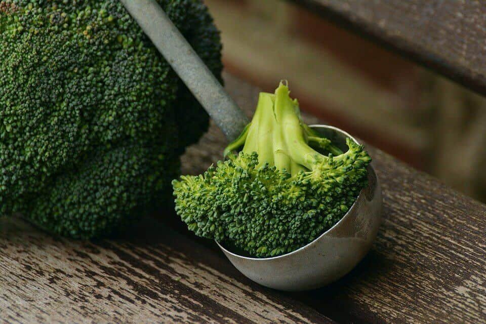 Cream of Broccoli Soup — Medical Weight Loss Clinic